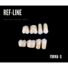 REF-LINE zęby boczne Q