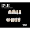 REF-LINE zęby boczne R